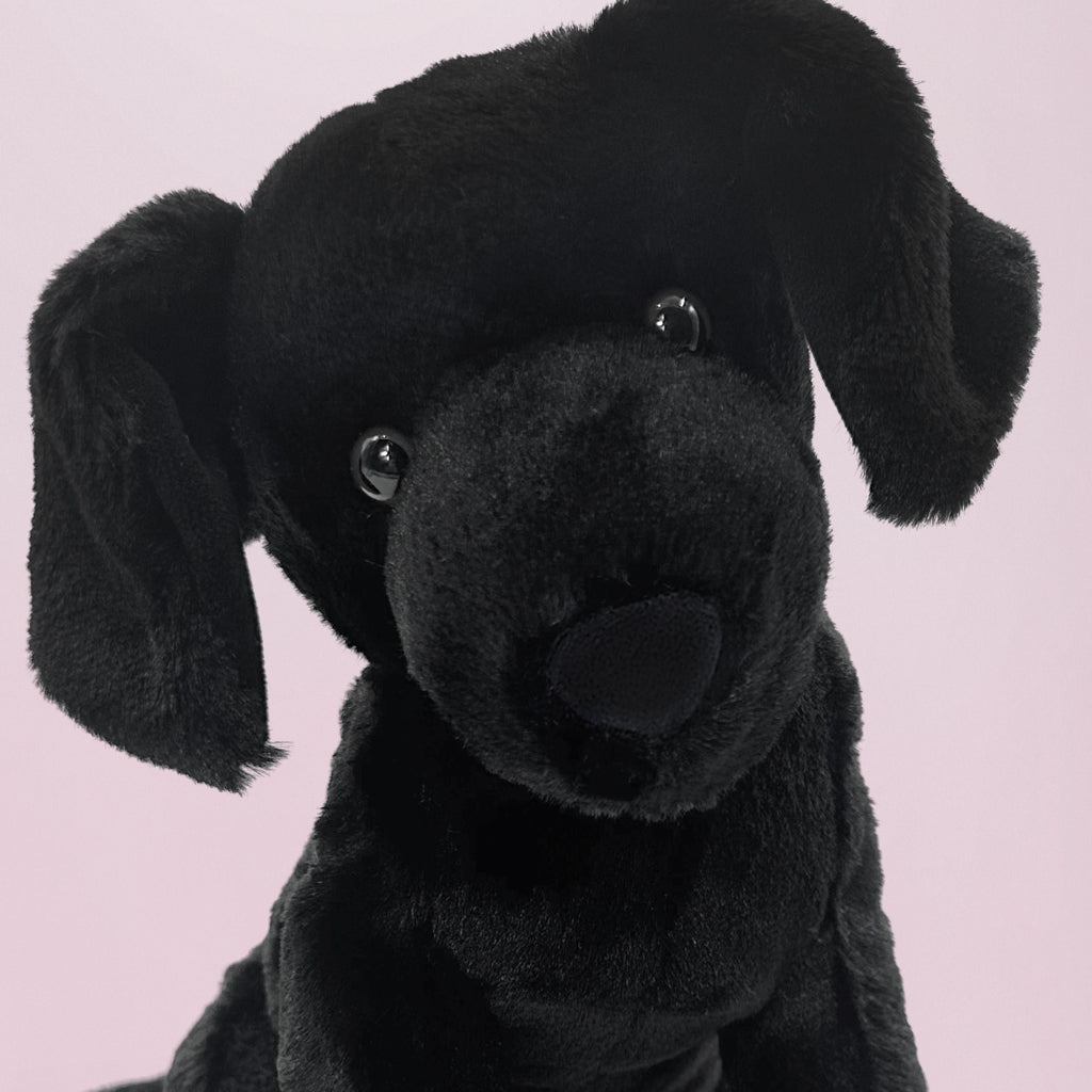 Jellycat Pippa Black Labrador Soft Toy Close Up