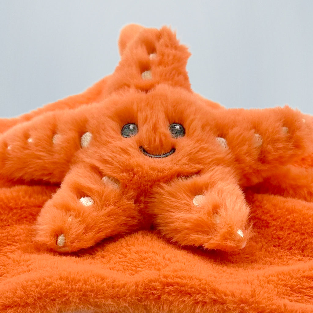 Stella Starfish Comforter, Close Up