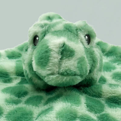 Timothy Turtle Comforter, Close Up