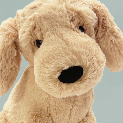 Jellycat Tilly Golden Retriever Close Up