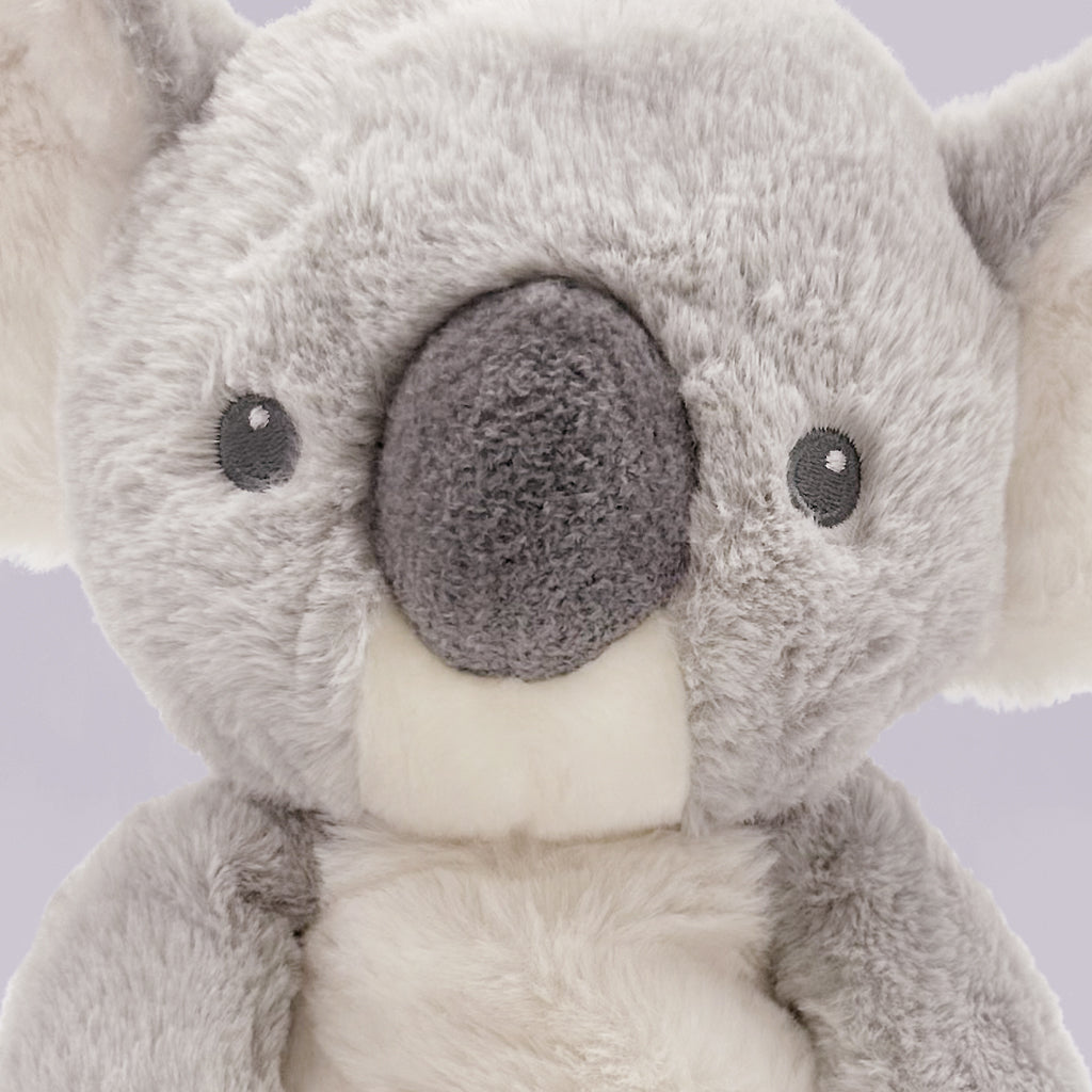 Kodi Koala Soft Toy, Close Up