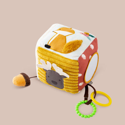 Little Big Friends Activity Cube, Forest