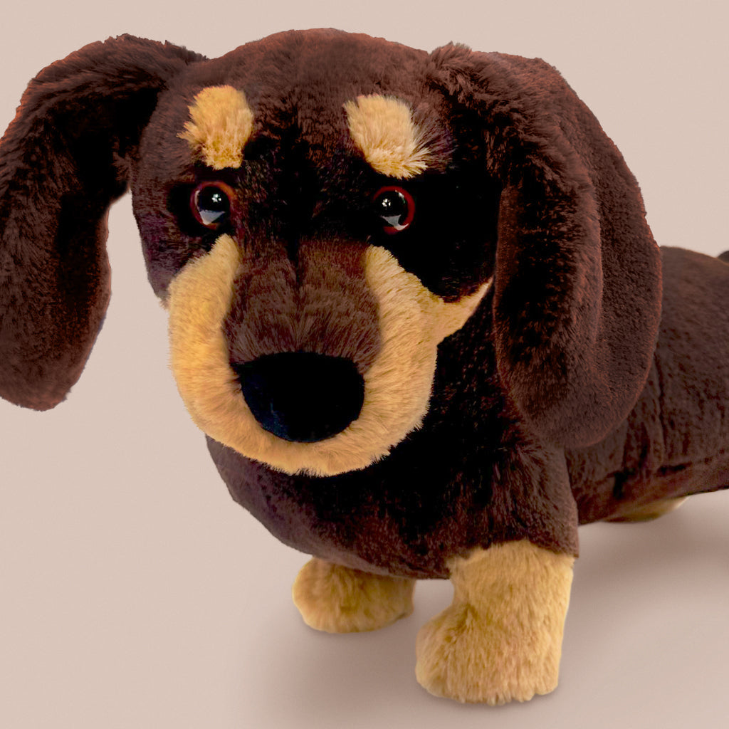 Jellycat Otto Sausage Dog Soft Toy, Close Up