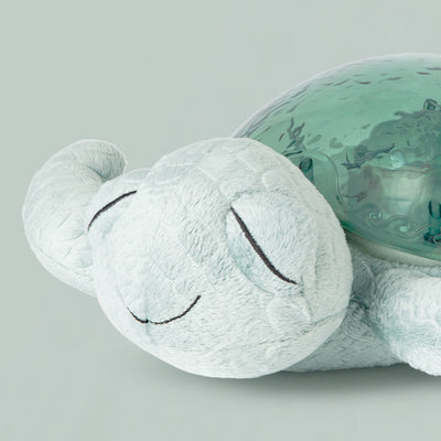 Tranquil Turtle Nightlight, Close Up