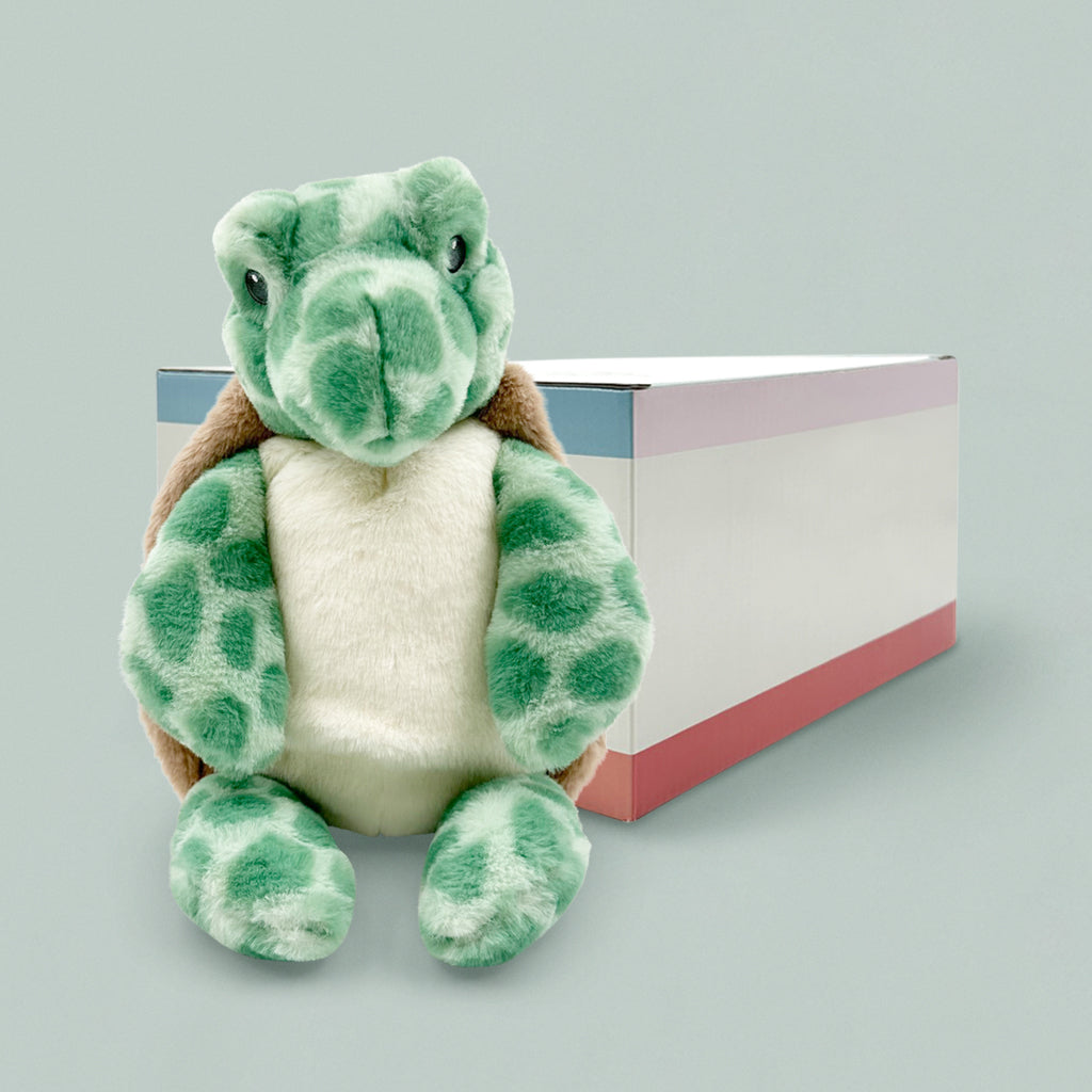 Timothy Turtle Soft Toy with Illustrated Gift Box