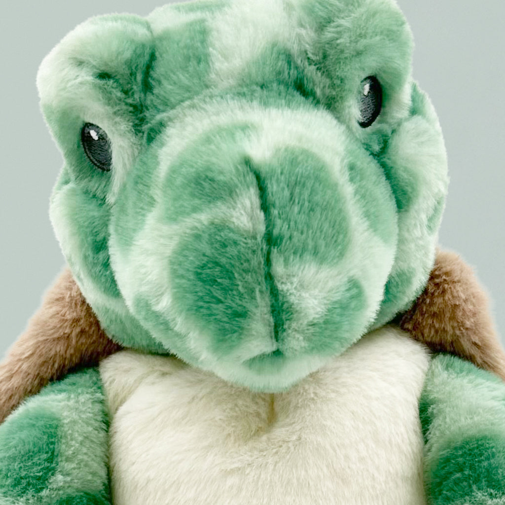 Timothy Turtle Soft Toy