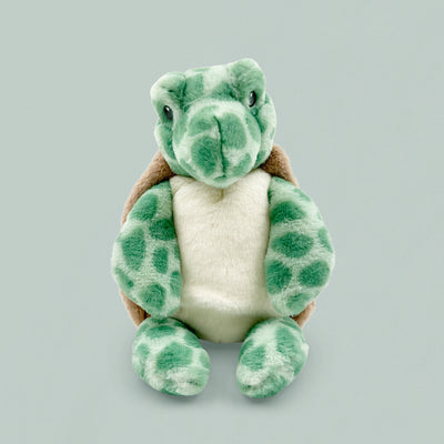 Timothy Turtle Soft Toy