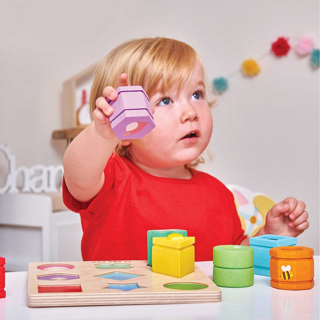 Wooden Sensory Shape Sorting Toy